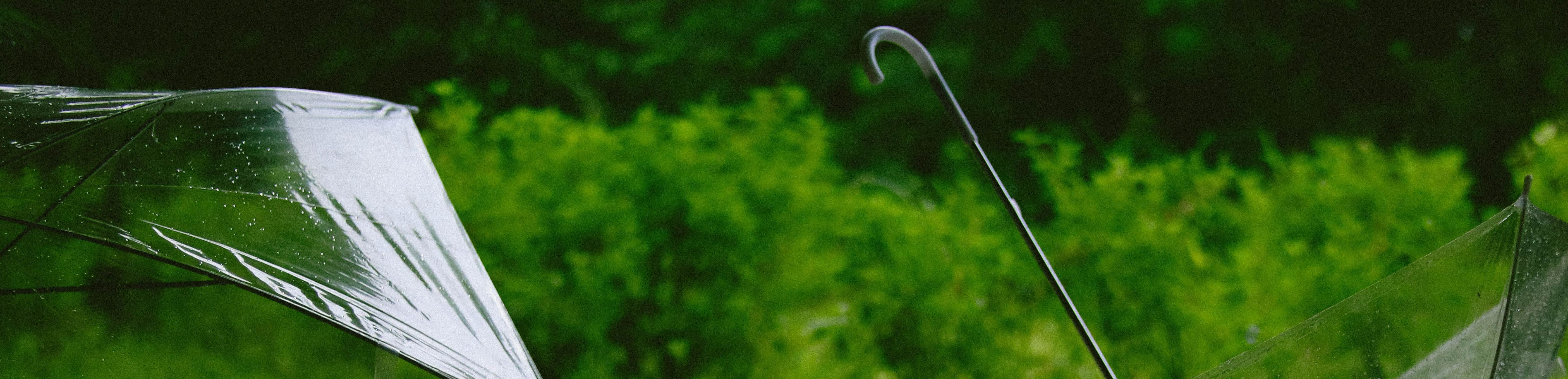 paraplu